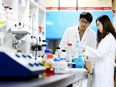 자연과학관련 내부 실험 이미지